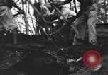 Image of Palawan Massacre prisoners bodies recovered Palawan Philippines, 1945, second 53 stock footage video 65675045828