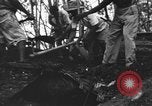 Image of Palawan Massacre prisoners bodies recovered Palawan Philippines, 1945, second 54 stock footage video 65675045828