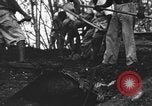Image of Palawan Massacre prisoners bodies recovered Palawan Philippines, 1945, second 55 stock footage video 65675045828