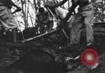 Image of Palawan Massacre prisoners bodies recovered Palawan Philippines, 1945, second 56 stock footage video 65675045828