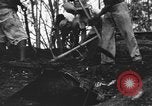Image of Palawan Massacre prisoners bodies recovered Palawan Philippines, 1945, second 57 stock footage video 65675045828