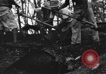 Image of Palawan Massacre prisoners bodies recovered Palawan Philippines, 1945, second 58 stock footage video 65675045828