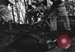 Image of Palawan Massacre prisoners bodies recovered Palawan Philippines, 1945, second 59 stock footage video 65675045828