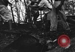Image of Palawan Massacre prisoners bodies recovered Palawan Philippines, 1945, second 60 stock footage video 65675045828