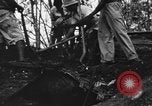 Image of Palawan Massacre prisoners bodies recovered Palawan Philippines, 1945, second 61 stock footage video 65675045828