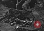 Standbild Palawan Massaker Opfer geborgen Palawan Philippinen, 1945, aus Sekunde 14 historischem Filmmaterial Videoclip 65675045829