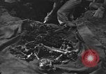 Standbild Palawan Massaker Opfer geborgen Palawan Philippinen, 1945, aus Sekunde 15 historischem Filmmaterial Videoclip 65675045829