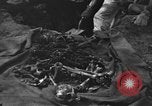 Standbild Palawan Massaker Opfer geborgen Palawan Philippinen, 1945, aus Sekunde 18 historischem Filmmaterial Videoclip 65675045829
