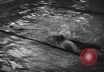 Image of swimming meet Zurich Switzerland, 1943, second 12 stock footage video 65675045835