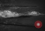 Image of swimming meet Zurich Switzerland, 1943, second 16 stock footage video 65675045835