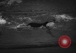 Image of swimming meet Zurich Switzerland, 1943, second 17 stock footage video 65675045835
