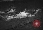 Image of swimming meet Zurich Switzerland, 1943, second 22 stock footage video 65675045835