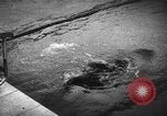 Image of swimming meet Zurich Switzerland, 1943, second 40 stock footage video 65675045835