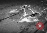 Image of swimming meet Zurich Switzerland, 1943, second 43 stock footage video 65675045835