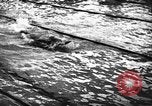 Image of swimming meet Zurich Switzerland, 1943, second 44 stock footage video 65675045835