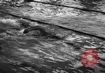 Image of swimming meet Zurich Switzerland, 1943, second 45 stock footage video 65675045835