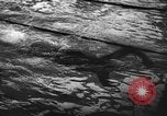 Image of swimming meet Zurich Switzerland, 1943, second 46 stock footage video 65675045835