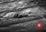 Image of swimming meet Zurich Switzerland, 1943, second 49 stock footage video 65675045835
