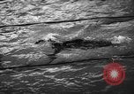 Image of swimming meet Zurich Switzerland, 1943, second 50 stock footage video 65675045835