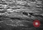 Image of swimming meet Zurich Switzerland, 1943, second 52 stock footage video 65675045835