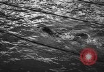 Image of swimming meet Zurich Switzerland, 1943, second 54 stock footage video 65675045835