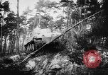 Image réservoir tiger allemand en démonstration Allemagne, 1943, de la seconde 40 séquences d'archives historiques vidéo 65675045837