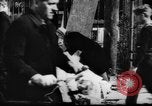 Image of Belgian refugees Antwerp Belgium, 1943, second 27 stock footage video 65675045841