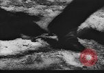 Standbild Schlamm vom Tauwetter im Frühjahr Ostfront, 1943, aus Sekunde 18 historischem Filmmaterial Videoclip 65675045842