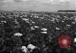 Image l'Ukraine civils l'Ukraine, 1943, de la seconde 18 séquences d'archives historiques vidéo 65675045844