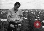 Image l'Ukraine civils l'Ukraine, 1943, de la seconde 23 séquences d'archives historiques vidéo 65675045844
