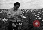 Image l'Ukraine civils l'Ukraine, 1943, de la seconde 26 séquences d'archives historiques vidéo 65675045844