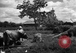 Image l'Ukraine civils l'Ukraine, 1943, de la seconde 38 séquences d'archives historiques vidéo 65675045844