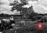Image l'Ukraine civils l'Ukraine, 1943, de la seconde 40 séquences d'archives historiques vidéo 65675045844