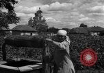 Image l'Ukraine civils l'Ukraine, 1943, de la seconde 44 séquences d'archives historiques vidéo 65675045844