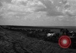 Image of Ukraine civilians Ukraine, 1943, second 3 stock footage video 65675045846