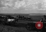 Image of Ukraine civilians Ukraine, 1943, second 8 stock footage video 65675045846