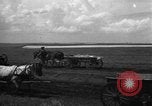 Image of Ukraine civilians Ukraine, 1943, second 11 stock footage video 65675045846