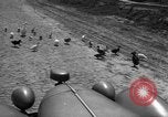 Image of Ukraine civilians Ukraine, 1943, second 30 stock footage video 65675045846