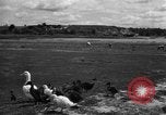 Image of Ukraine civilians Ukraine, 1943, second 43 stock footage video 65675045846