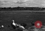 Image of Ukraine civilians Ukraine, 1943, second 44 stock footage video 65675045846