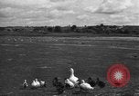Image of Ukraine civilians Ukraine, 1943, second 46 stock footage video 65675045846