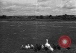Image of Ukraine civilians Ukraine, 1943, second 47 stock footage video 65675045846