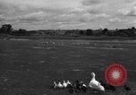 Image of Ukraine civilians Ukraine, 1943, second 48 stock footage video 65675045846