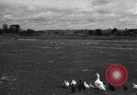 Image of Ukraine civilians Ukraine, 1943, second 49 stock footage video 65675045846
