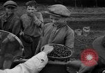 Image of Ukraine civilians Ukraine, 1943, second 61 stock footage video 65675045847