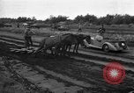 Image of Ukraine civilians Ukraine, 1943, second 15 stock footage video 65675045848