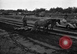 Image of Ukraine civilians Ukraine, 1943, second 16 stock footage video 65675045848