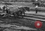 Image of Ukraine civilians Ukraine, 1943, second 19 stock footage video 65675045848
