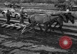 Image of Ukraine civilians Ukraine, 1943, second 20 stock footage video 65675045848