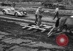 Image of Ukraine civilians Ukraine, 1943, second 22 stock footage video 65675045848